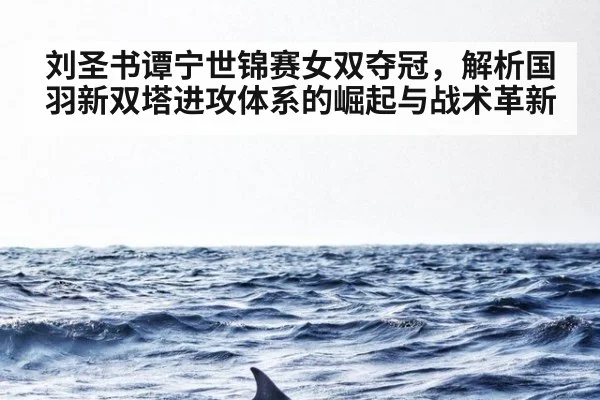 刘圣书谭宁世锦赛女双夺冠，解析国羽新双塔进攻体系的崛起与战术革新（jiuyou game）